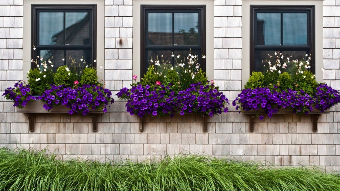 5 Window Box and Ground Flower Bed Combos