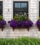 5 Window Box and Ground Flower Bed Combos