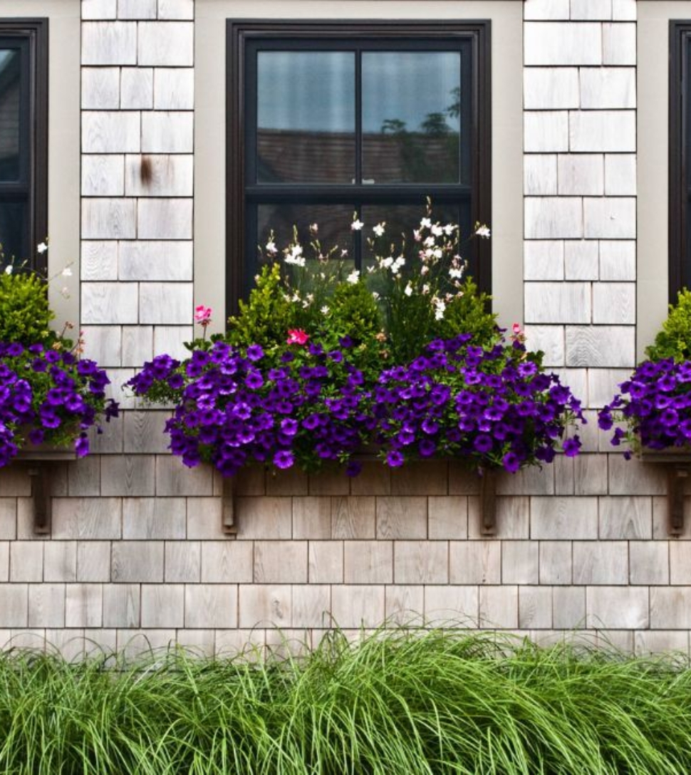 5 Window Box and Ground Flower Bed Combos
