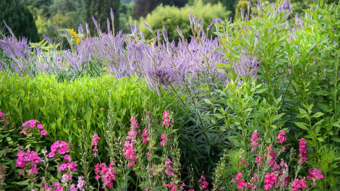 5 Indoor Atrium Flower Bed Ideas