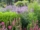 5 Indoor Atrium Flower Bed Ideas