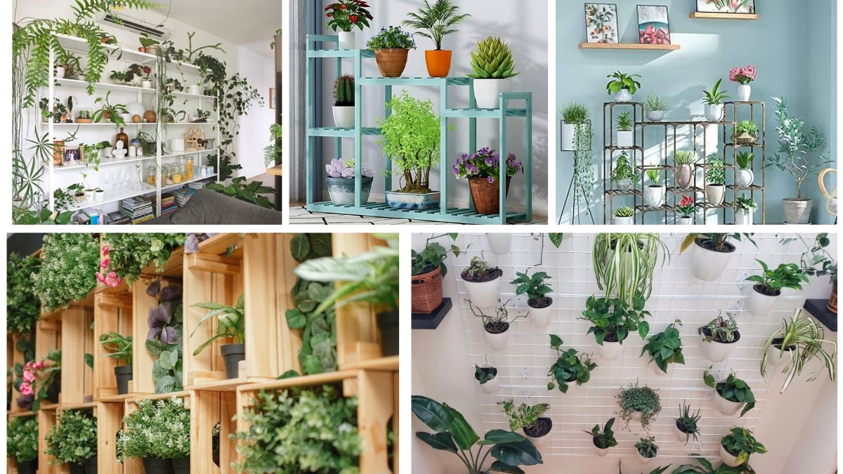 5 Stylish Plant Stands to Showcase Your Indoor Greenery
