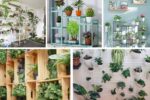 5 Stylish Plant Stands to Showcase Your Indoor Greenery