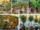Balcony-Friendly Fruit Trees That Actually Bear Harvests