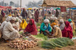How the Raisen Agriculture Fair Benefits Indian Farmers